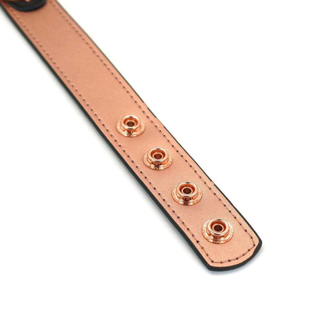 GOLDROSE LEATHER COLLAR WITH NIPPLE CLAMPS