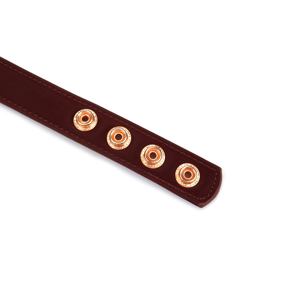 WINE LEATHER COLLAR WITH NIPPLE CLAMPS