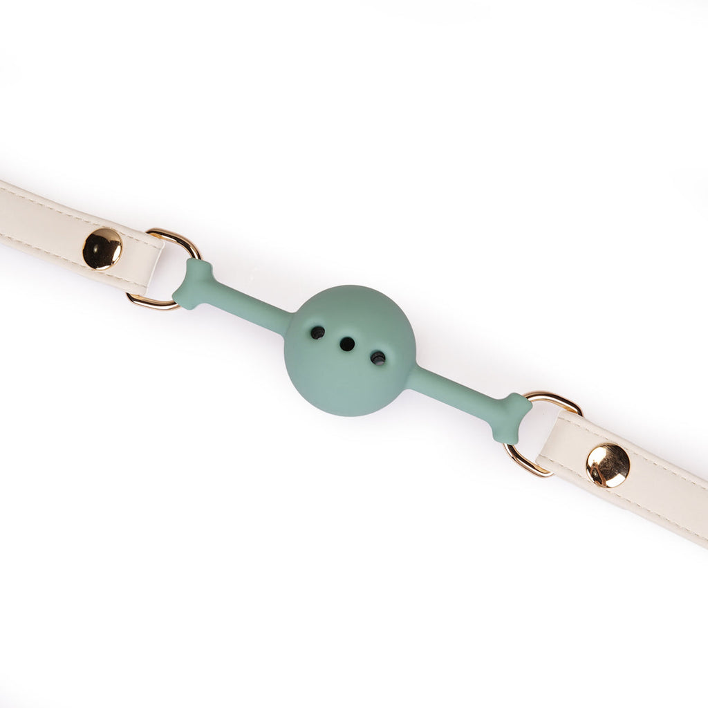 BUDOIR BALL GAG WITH LEATHER STRAPS