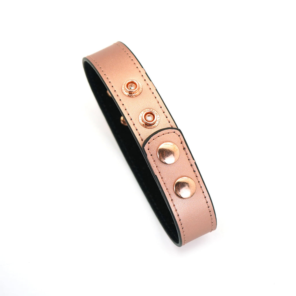 GOLDROSE LEATHER COLLAR WITH NIPPLE CLAMPS